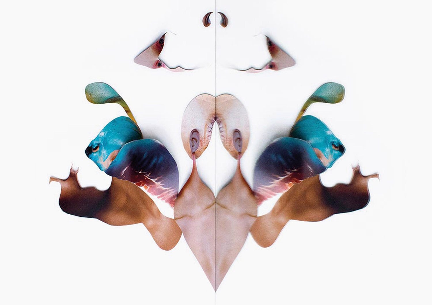 REFLEX